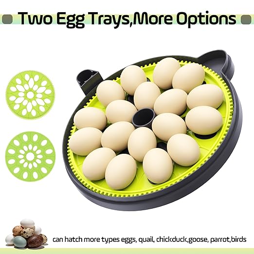 Egg Incubator with Automatic Egg Turning and Humidity Control, Built in Atomizer - Image 6