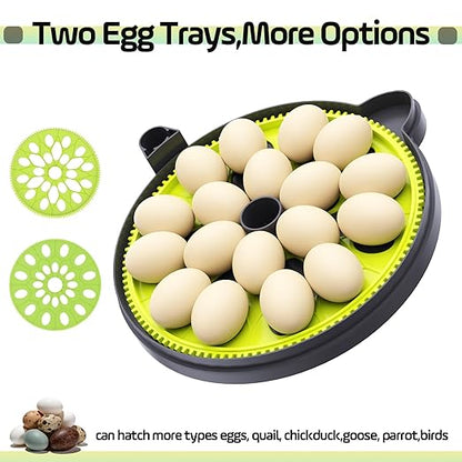 Egg Incubator with Automatic Egg Turning and Humidity Control, Built in Atomizer - Image 6