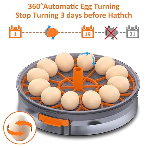 12 Egg Incubator with Automatic Egg Turning and Humidity Control, Intelligent - Image 4