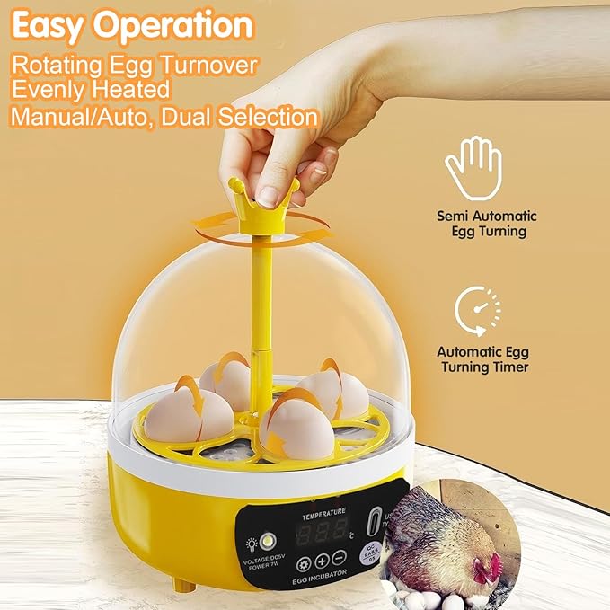 Tissting 4 Eggs Mini Incubator - Image 7