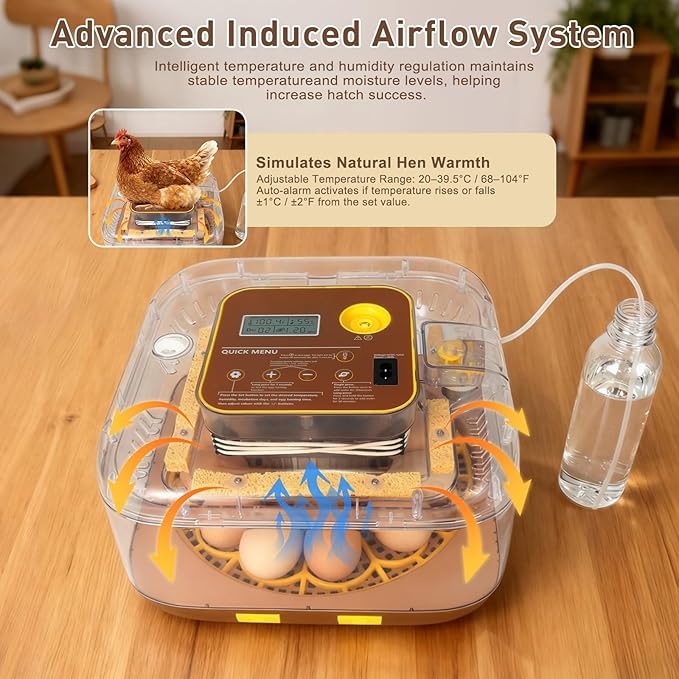2026 New Auto 12-Egg Incubator for Beginners, Automated Incubation, - Image 4
