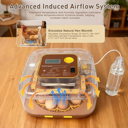 2026 New Auto 12-Egg Incubator for Beginners, Automated Incubation, - Image 4