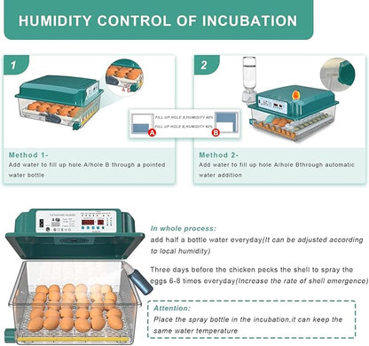 Choies 16 Egg Incubator, Incubators - Image 3