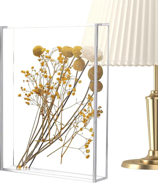 Acrylic Display Box by Unknown