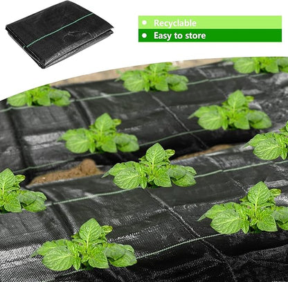 codree 13 x 6.5 Ft Garden Weed Barrier Landscape Fabric - Image 7