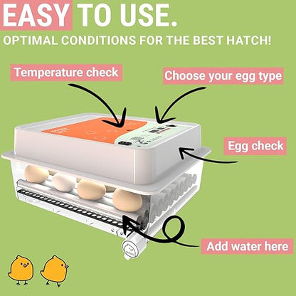 OBI-36 Egg Incubator for Hatching - Image 2