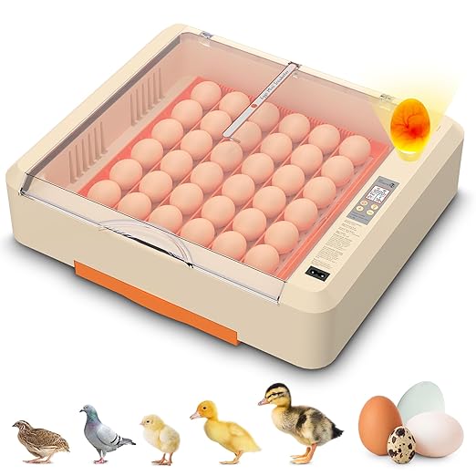 36-60 Egg Incubator with Automatic Egg Turning and Humidity Control, Adjustable by Innvello