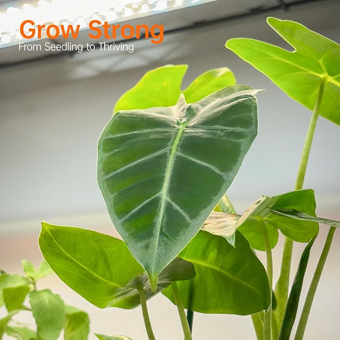 Bstrip Indoor Greenhouse with Grow Light, Mini Green house with 5 Pack T8 Full - Image 5