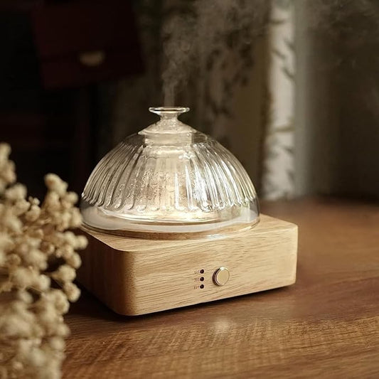 Glass Dome Essential Oil Diffuser by Levoair