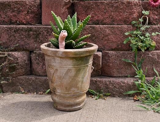 Cute Ceramic Soil Moisture Indicator - Image 4