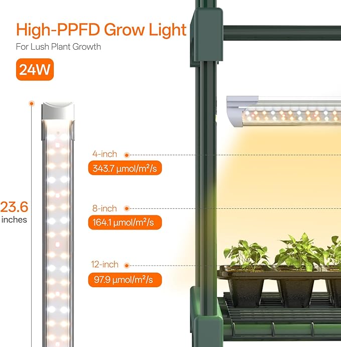 Bstrip Indoor Greenhouse with Grow Light, 5-Tier Large Green House, PVC Tent - Image 6