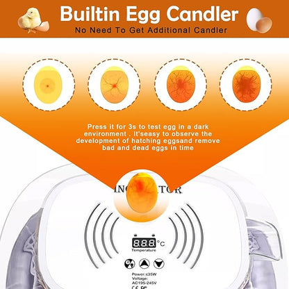 16 Egg Incubator with Automatic Egg Turning and Humidity Control, 360 Degree - Image 5