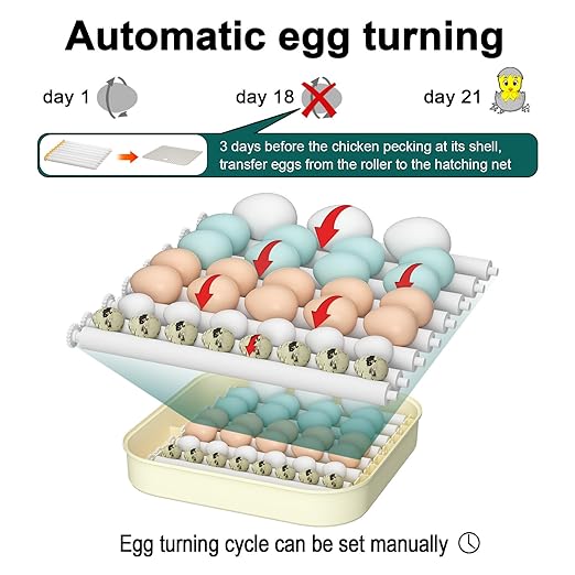 35 Egg Incubator with Automatic Egg Turning and Humidity Control, Incubator - Image 3