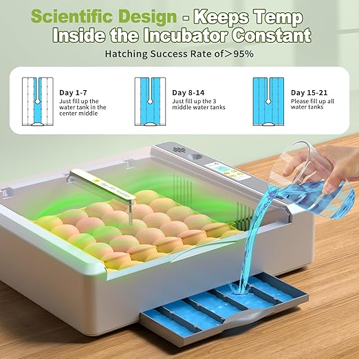 36 Eggs Incubator for Hatching Chicken/Goose/Quail/Duck/Turkey Eggs, 360° View - Image 4