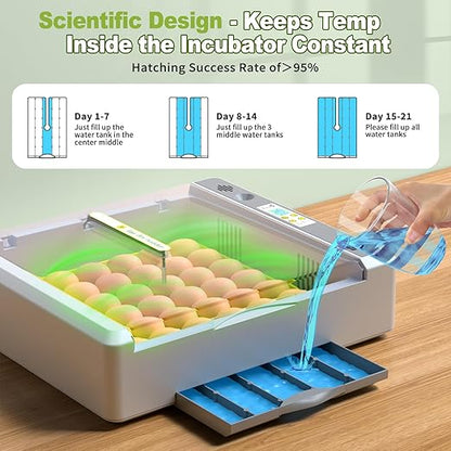 36 Eggs Incubator for Hatching Chicken/Goose/Quail/Duck/Turkey Eggs, 360° View - Image 4