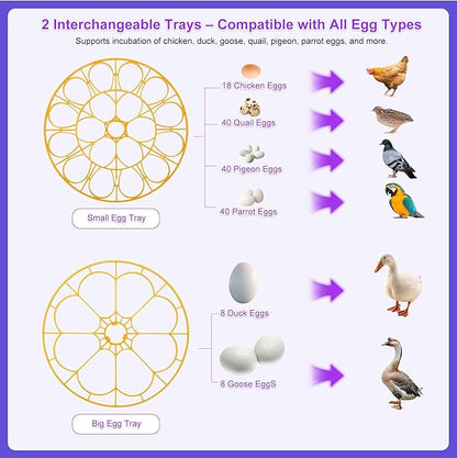 18 Egg Incubator for Hatching Eggs – - Image 6