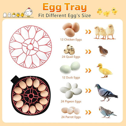 12-Egg Incubator, Automatic Egg Turning Function, Humidity Control, External - Image 7