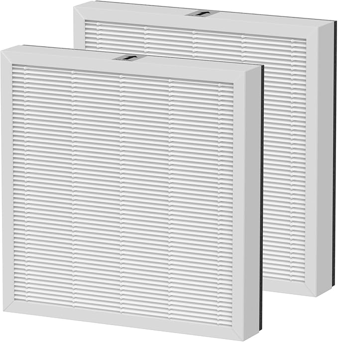2 Pack AH300 True HEPA Air Filter Replacement Compatible by Ganteny