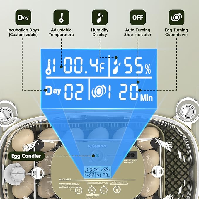 24 Egg Incubator with Automatic Turning, Temperature and Humidity Control - Image 3