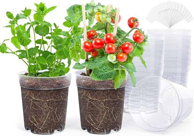 homenote Clear Nursery Pots for Plants, 6.7 Inch Plant Pot for Planting Plastic - Image 7