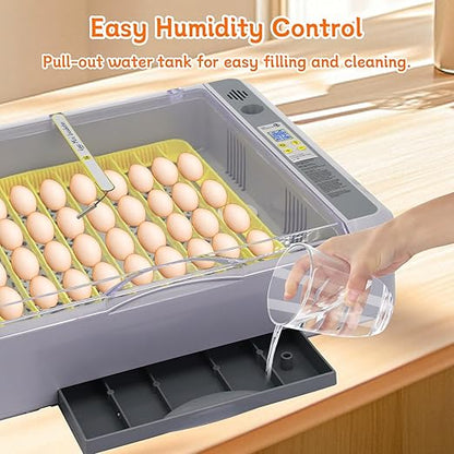 Automatic Egg Incubator, Automatic Egg Turner - Image 3