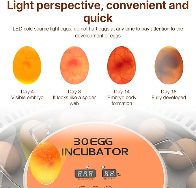 30 Eggs Incubator with Automatic Egg Turning with External Injection Water - Image 8