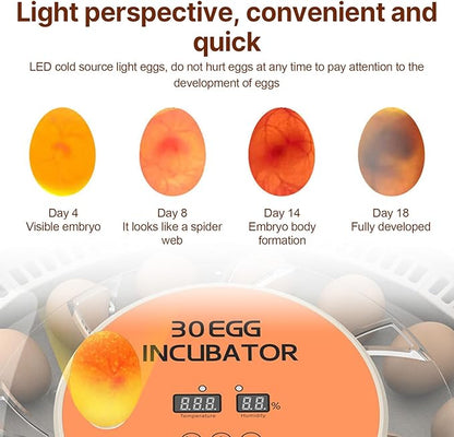 30 Eggs Incubator with Automatic Egg Turning with External Injection Water - Image 8