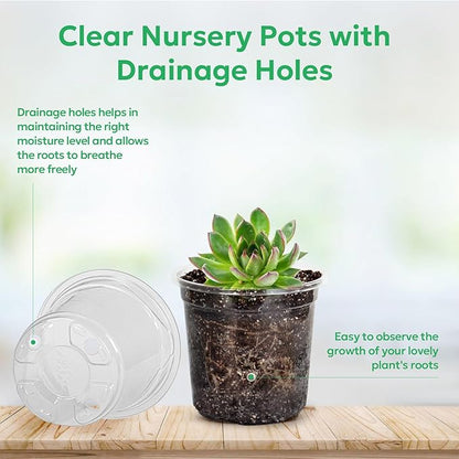 60 Packs 3.5 Inch Reinforced Clear Nursery Pots - Image 3