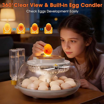 18 Egg Incubator with Automatic Egg Turning & Humidity Control, Built-in Egg - Image 5