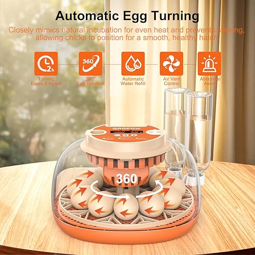 12 Egg Incubator, Automatic Turning - Image 2