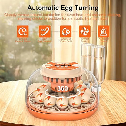 12 Egg Incubator, Automatic Turning - Image 2