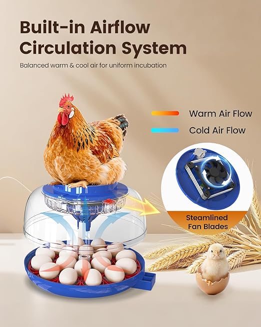 Incubators for Hatching Eggs, 18 Eggs Incubators - Image 4