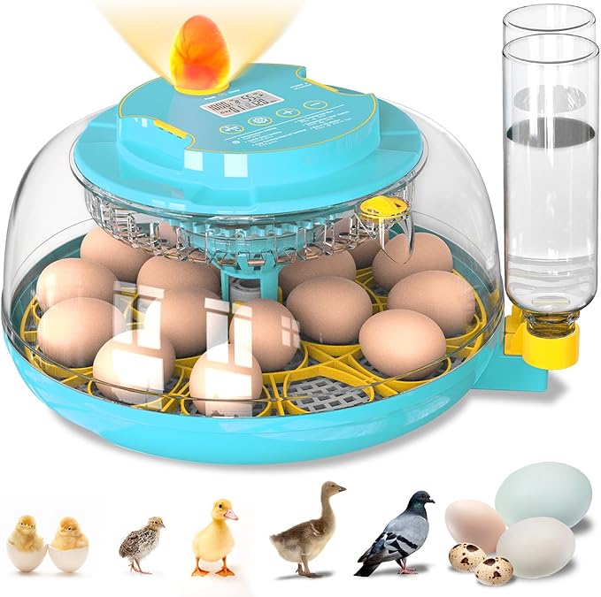 Incubators for Hatching Eggs, 18 Eggs Incubator by Unknown