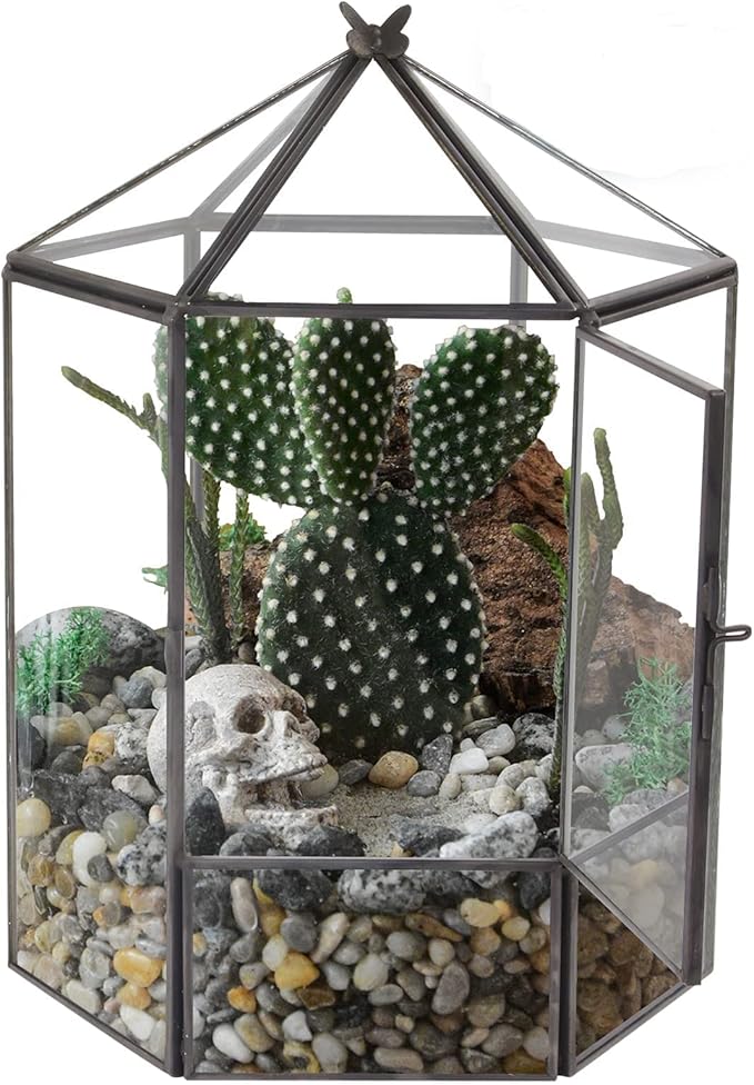ELEGANTLIFE Glass Geometric Plant Terrarium, Succulent & Air Planter - Image 2