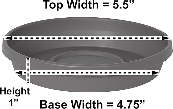 Bloem Terra Resin Saucer Tray: 4.75" Bottom Width - Image 2