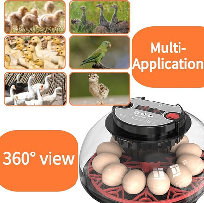 Egg Incubators for Hatching Eggs, Incubator for 12 Eggs Automatic Turning - Image 7
