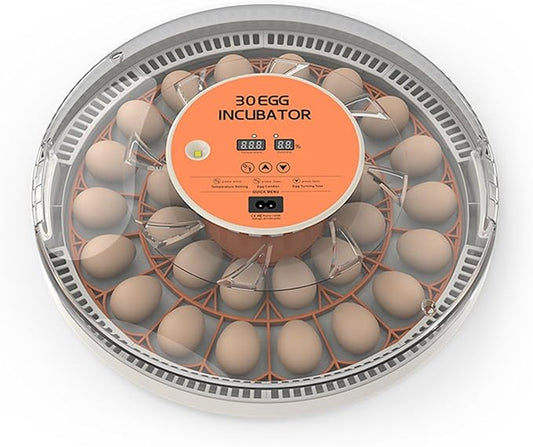 30 Eggs Incubator with Automatic Egg Turning with External Injection Water by Tissting