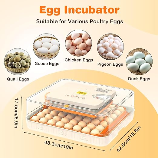 56 Egg Incubator for Hatching Chicken, Egg Incubator - Image 7