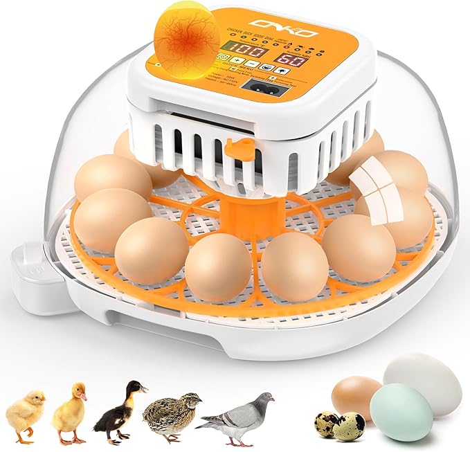 ONKO 12 Egg Incubator with Auto Temp & Humidity Control by ONKO