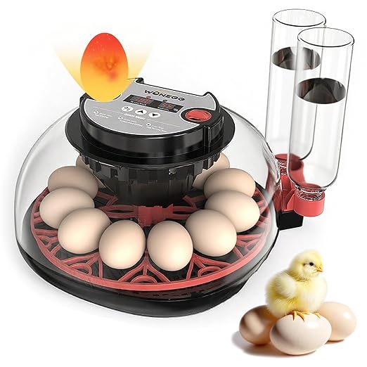 12 Egg Incubator for Hatching Eggs, Automatic Turner by AGOAL