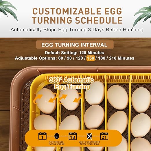 4th Gen – 56 Egg Fully Automatic Incubator, 2026 UpgradedDesign, Intelligent - Image 5