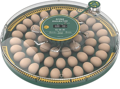 Automatic Egg Incubator for 52 Eggs by Tissting