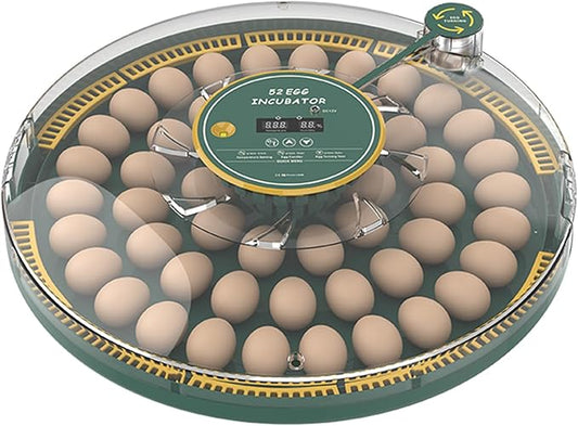 Automatic Egg Incubator for 52 Eggs by Tissting