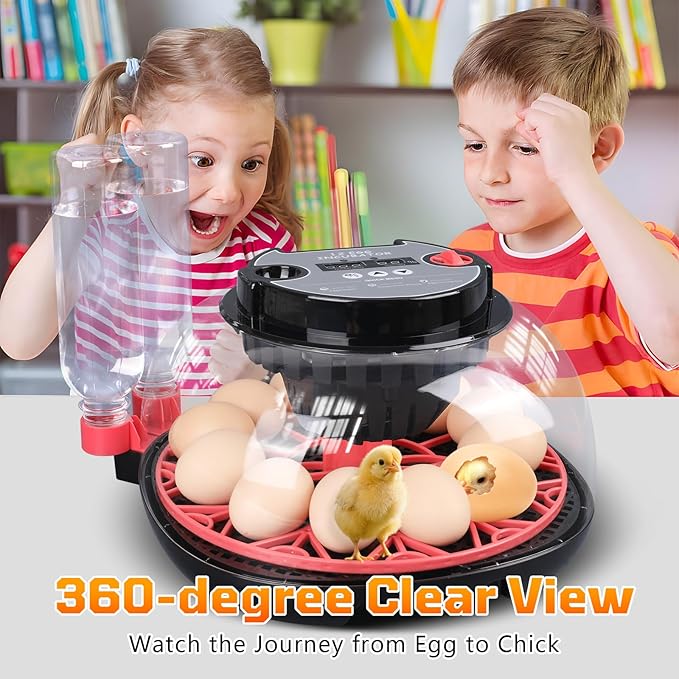 12-Egg Incubator, Automatic Egg Turning Function, Humidity Control, External - Image 6