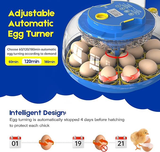 Egg Incubator for Hatching Chicks, 18 Eggs Automatic Egg Turner Multifunctional - Image 3