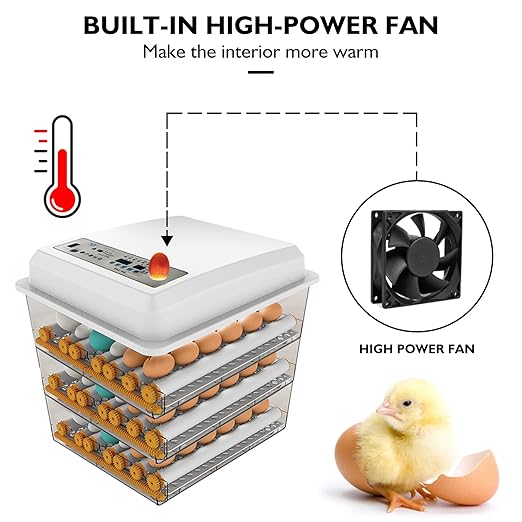 Egg Incubator, Egg Incubator - Image 8