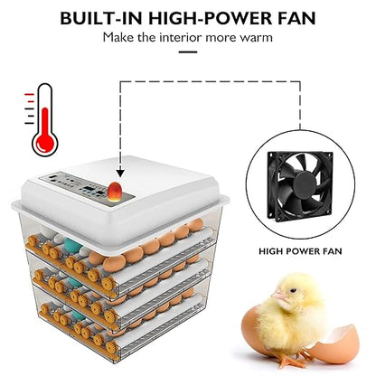 Egg Incubator, Egg Incubator - Image 8
