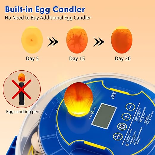 18 Egg Incubator Automatic Egg Turner Temperature & Humidity Control, Incubators - Image 4