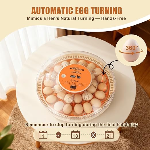 2nd Gen 30 Egg Incubator, Wide-Range Humidity - Image 2