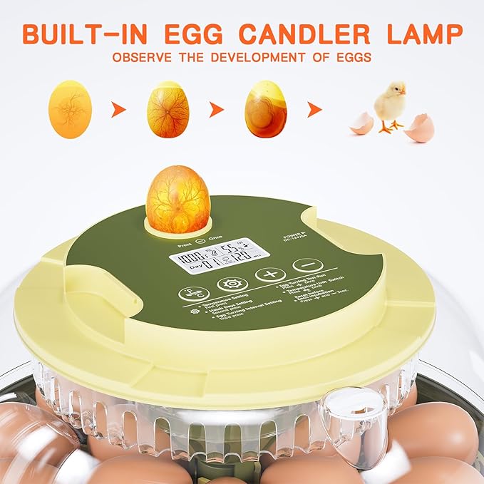 18 Egg Incubator, Incubator for Hatching Eggs, Automatic Egg Turning and - Image 4
